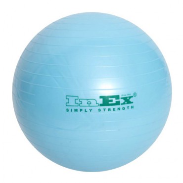 Мяч гимнастический INEX Swiss Ball, диаметр: 55 см
